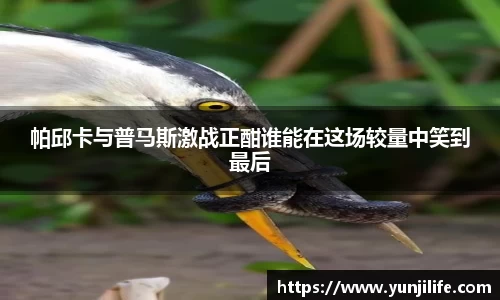 米兰官网